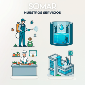 SERVICIOS